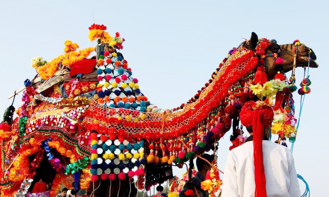 culture-of-rajasthan
