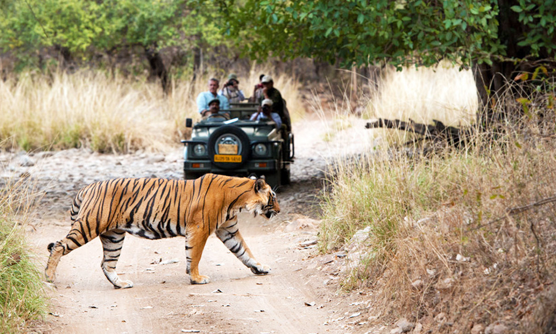 renthambore