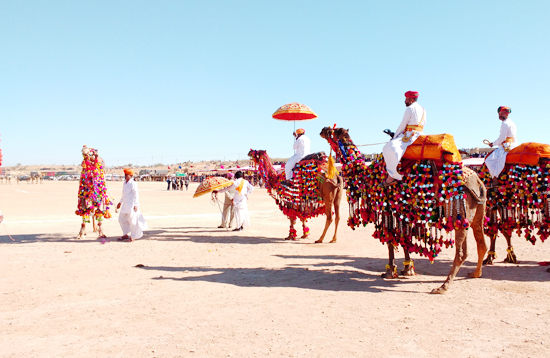 camel-festival-rajasthan