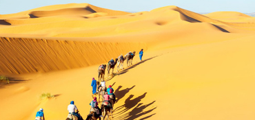 sand-dunes-rajasthan