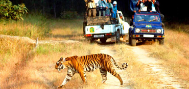 wildlife_rajasthan