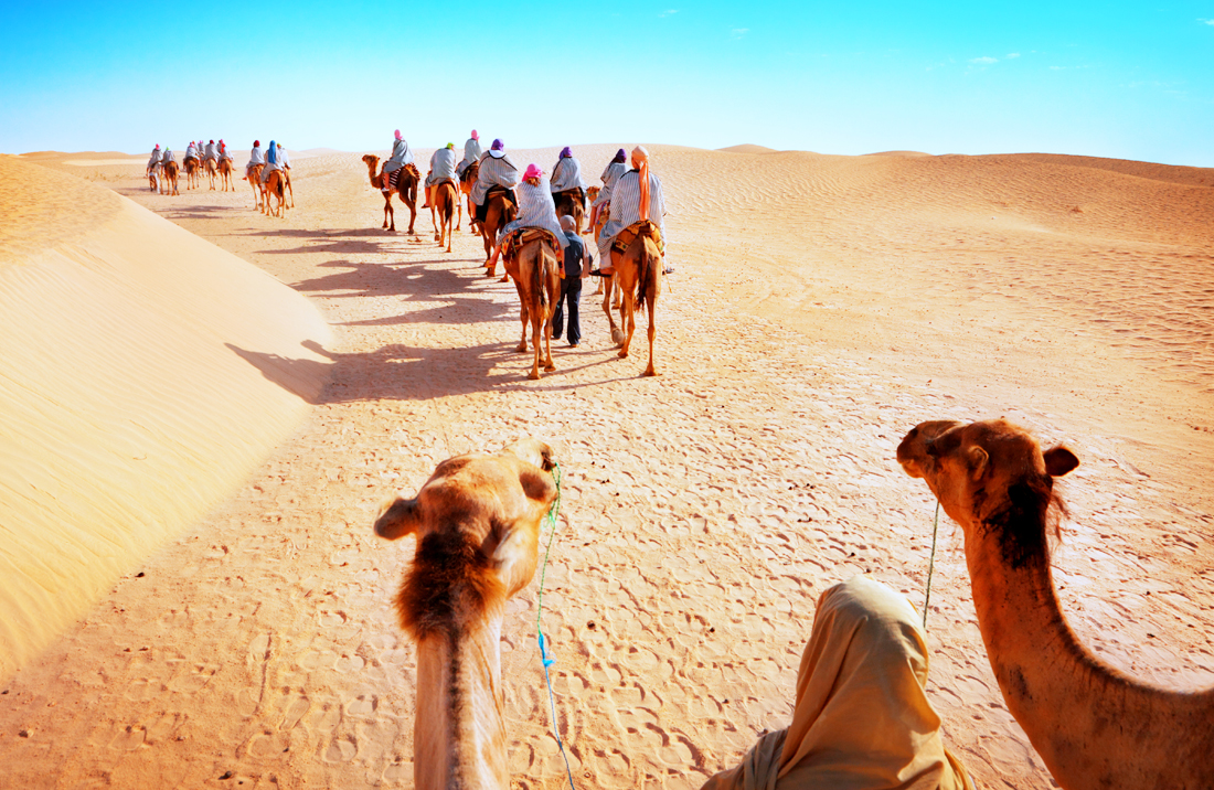 rajasthan-camel-safari-tour