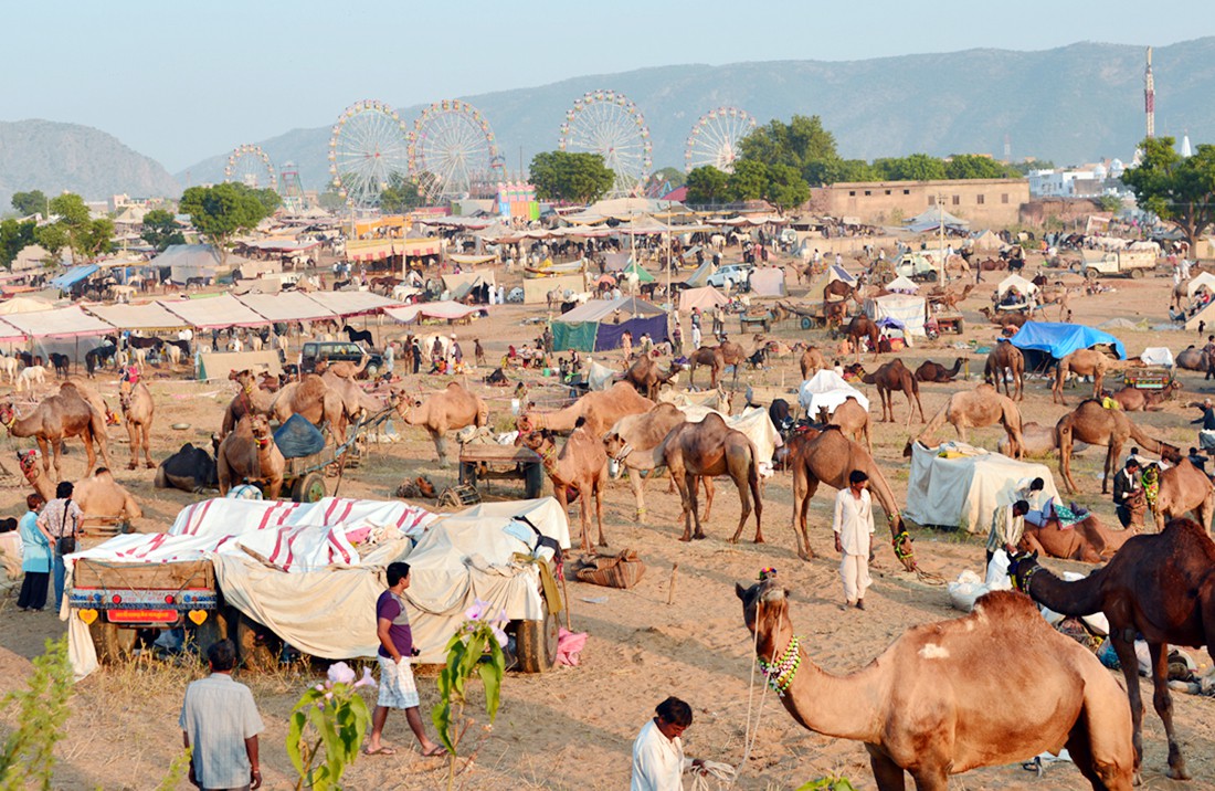 pushkar-fair-with-golden-triangle-tour