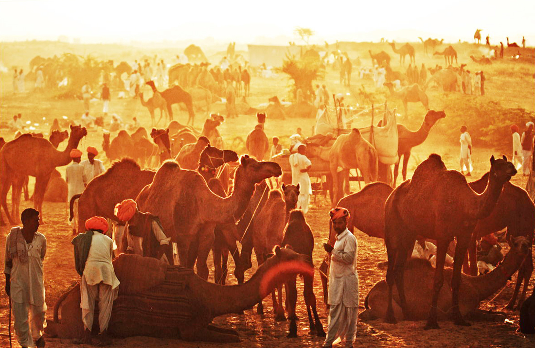 pushkar-fastival-tour