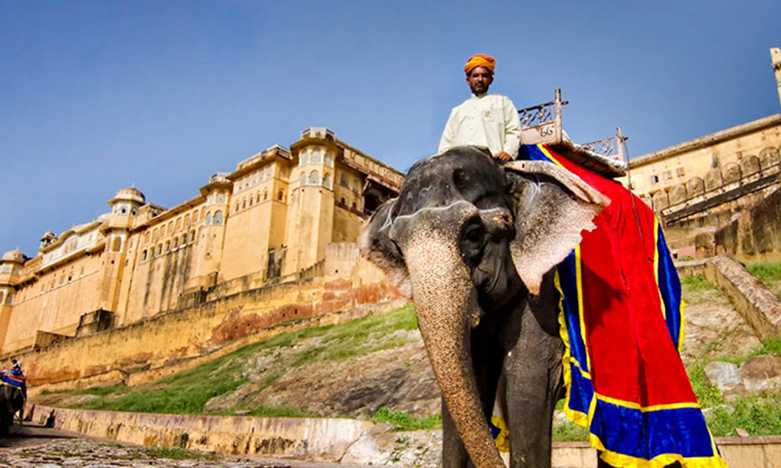jaipur-city-tour