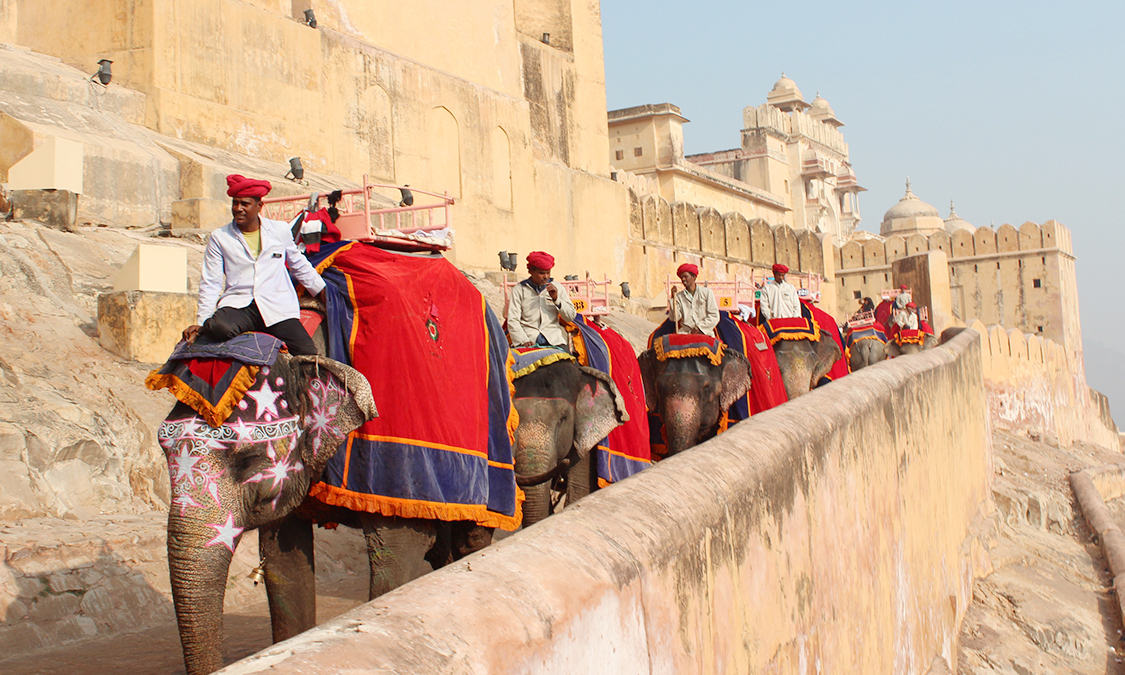 amber-jaipur-elephant-safari