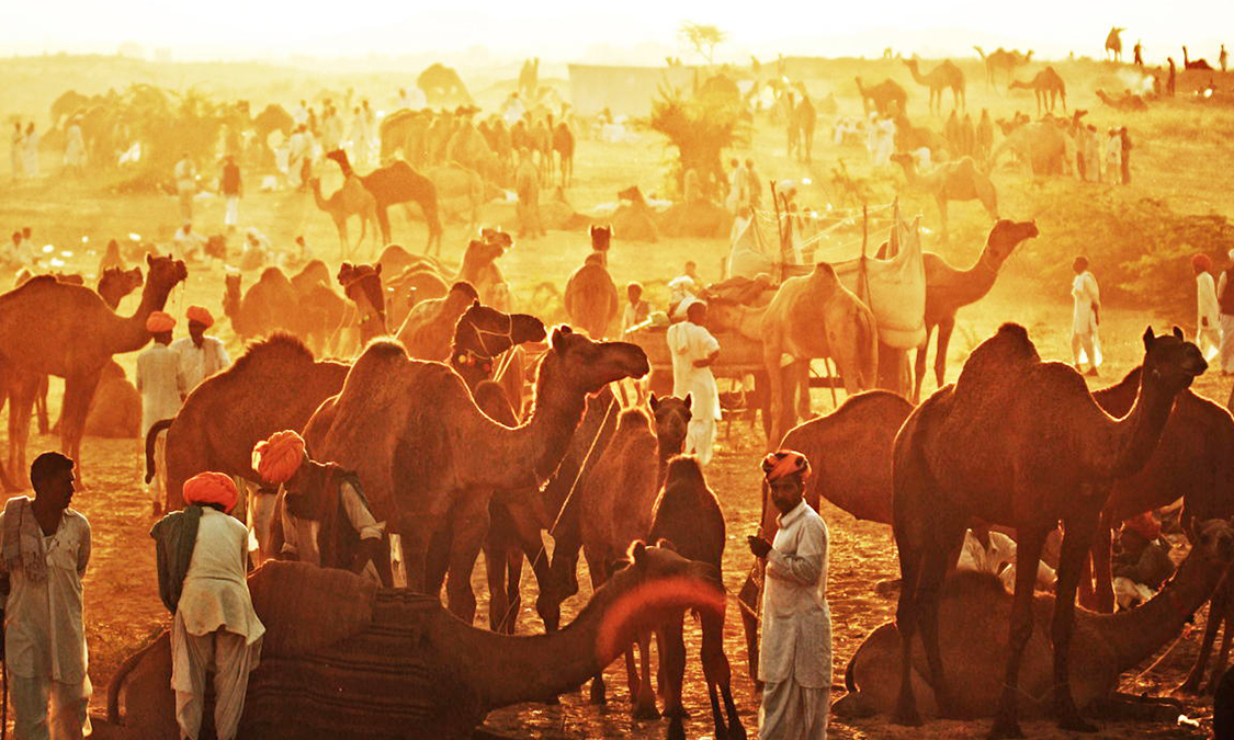 pushkar-fair-pushkar