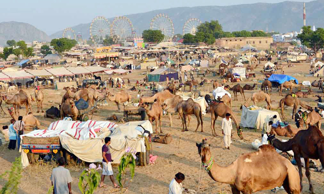 pushkar