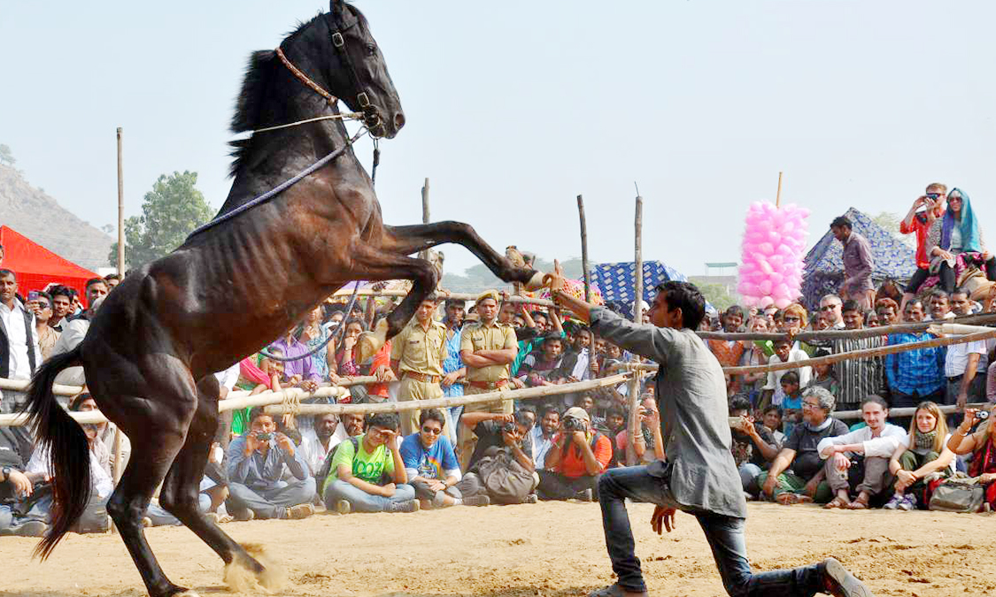 Pushkar