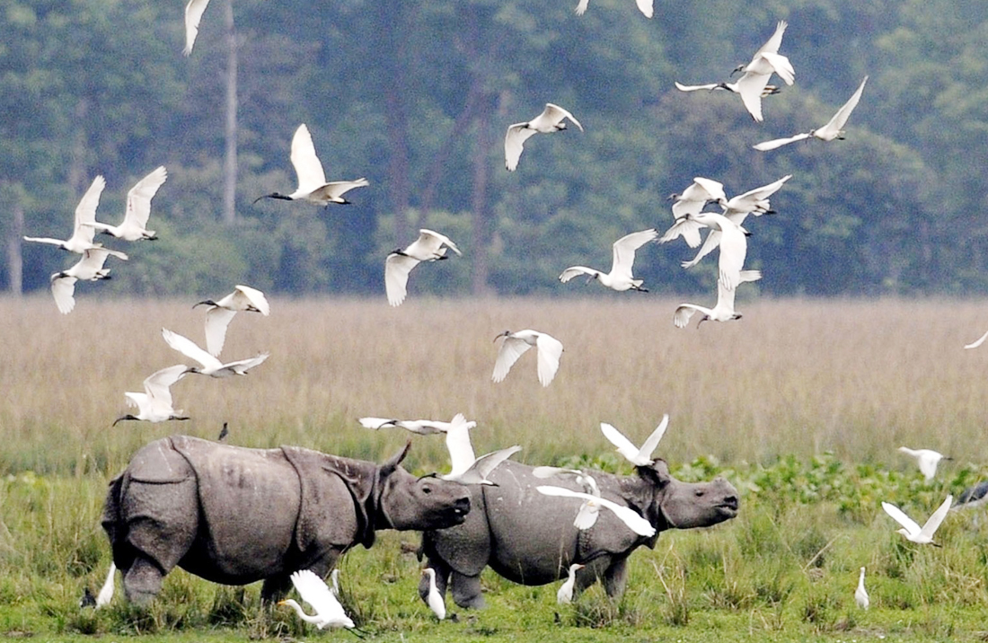 taj-with-wildlife-tour